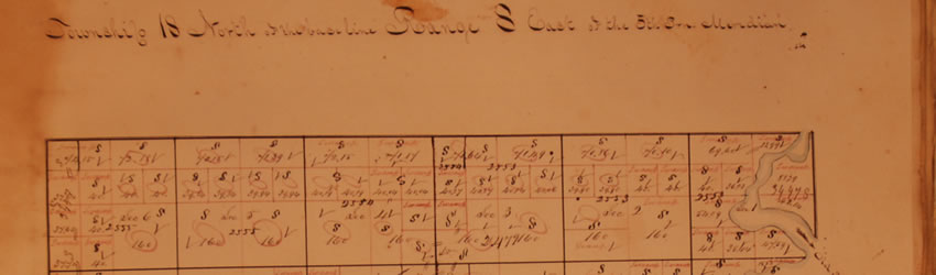 Swamp Land Plats showing surveyed parcels